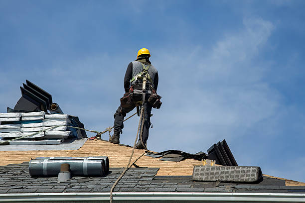 Professional Roofing technician working in Eldena, IL